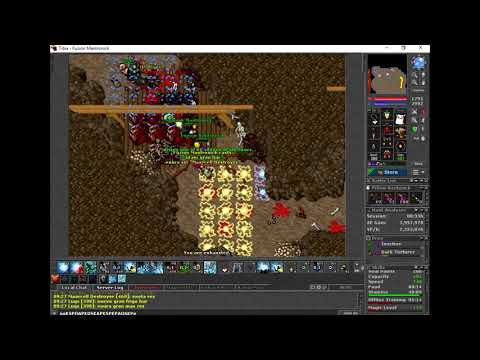 Tibia - Hunt DT Seal 8kk+H (x5) Massacre (Double XP)