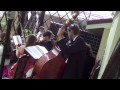 оркестр классической музыки Пахельбель Канон флейты, скрипки, контрабас 
