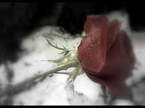 N-Phatic & Maquality ft. Ashley - Waarom zag ik niet