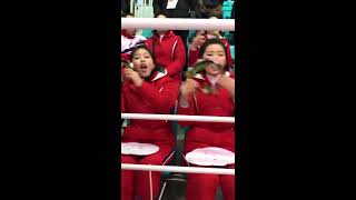 写写丸が見た「平昌五輪」北朝鮮美女応援団に求婚してみた