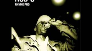 ROB-O(INI)KROSSROADS