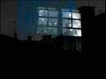 Sambassadeur- New Moon