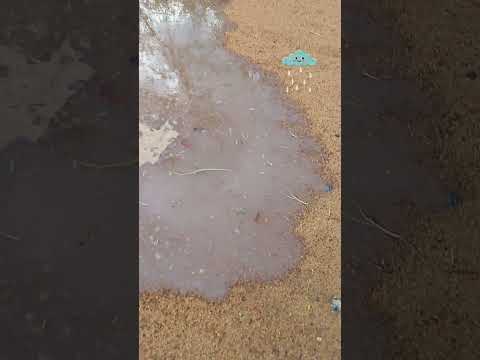 chuva em brejinho pe