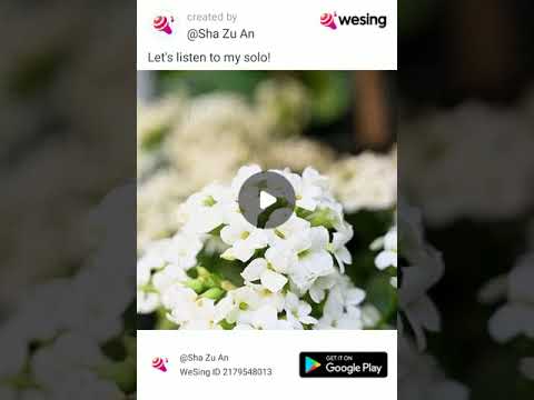 Perasa - Jocy Menti Cover By Angelie Jawan.