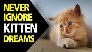 What does Kitten in dream meaning || Dreaming of Kittens || Kitten dream interpretation