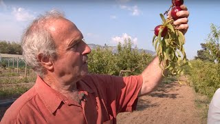 Thumbnail del capítulo