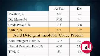 Reading Forage Analyses - Bruce Anderson - January 10, 2014