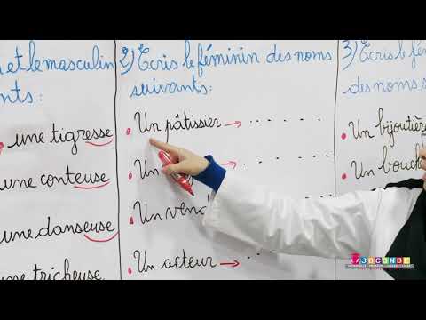 2 AEP français le féminin particulier des noms
