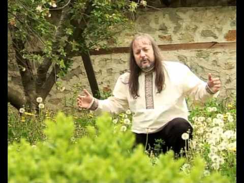 ДВА ГЪЛЪБА, ДВАМА СИНА - изп. Володя Стоянов ВОЙВОДАТА