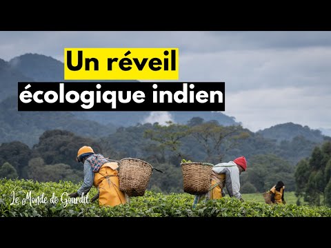 Révolution Agricole en Inde : Cette Technique Sauve des Vies et la Planète