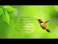 Njaattuvelakkiliye Song With Lyrics HD Midhunam