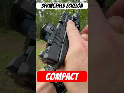 Springfield Echelon Compact with a Surefire x300turbo and the Cyelee Wolf EDG