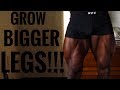 Build Bigger Quads | Day 3 - Week 2