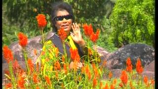 Download lagu M.Daud Kilau - Bunga Hati mp3 Download lagu M.Daud Kilau - Bunga Hati mp3