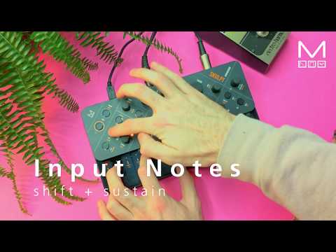 Modal SKULPT synthesiser Keyboard Section tour