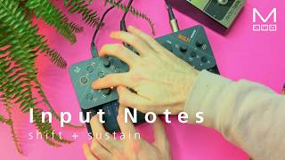 Video thumbnail for Modal SKULPT synthesiser Keyboard Section tour by Modal Electronics