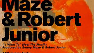 I Want To (FEEL THE MUZIK) by Robert Junior & Benny Maze (Feel The Dub)