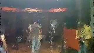 Easy Morning Rebel Awake me video.