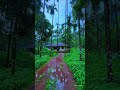 Houses In Kerala Villages Villagelife House Vintage