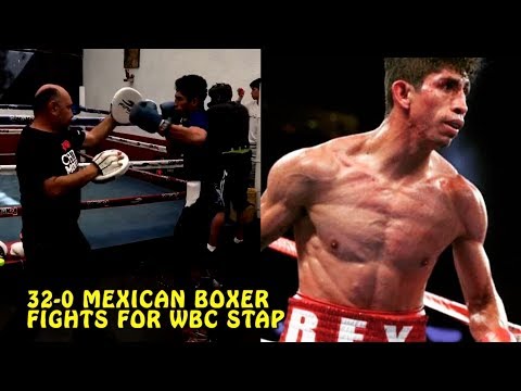 Undefeated Rey Vargas fights on DAZN Feb 9 for WBC Super Bantam title