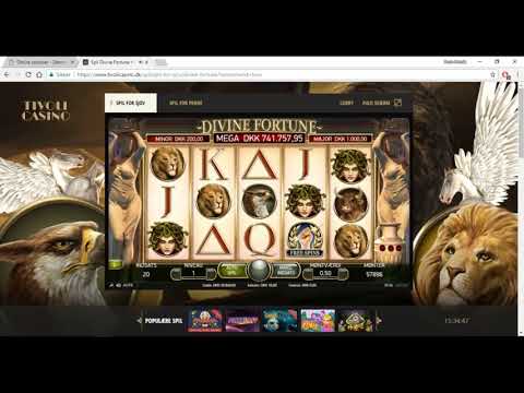 Dansk guide til Divine Fortune spilleautomaten