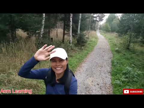 High Tatras, Slovakia -Automn in October 2020
