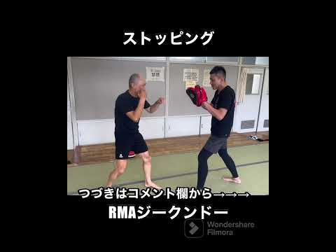 RMAジークンドー　ストッピング　#shorts