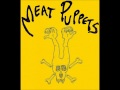 Meat Puppets - Meltdown + Interview live 1988