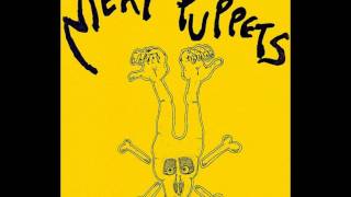 Meat Puppets - Meltdown + Interview live 1988