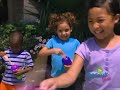 Barney Friends Colors