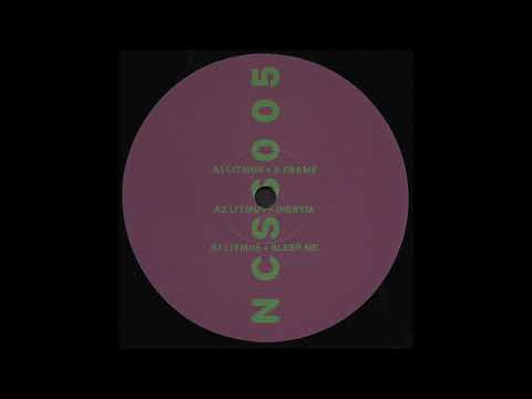 A2. Litmus - Inertia [NCSS005]