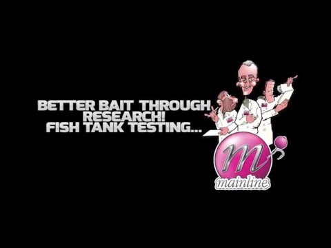 Mainline Baits TV - Fish Tank Tests: Boilies Coated In NEW Test Liquid