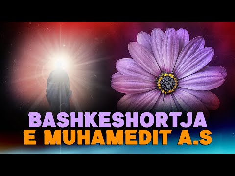 Vajza e Ebu Sufjanit qe u be bashkeshortja e profetit Muhamed a.s. Ngjarje dritheruese
