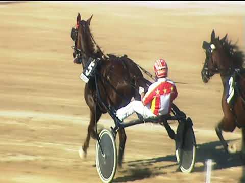 Trotto 16/09/2018 - 5ª corsa