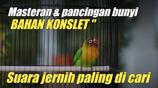 Download lagu Masteran untuk bahan konslet & pancingan bunyi - Lovebird DJAROT Banjarnegara mp3 Download lagu Masteran untuk bahan konslet & pancingan bunyi - Lovebird DJAROT Banjarnegara mp3