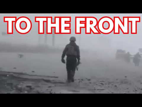 When the fog rolls in, they attack