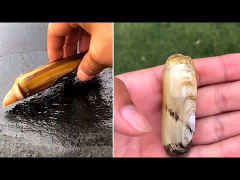 Mouth watering fresh delicious seafood cooking and eating