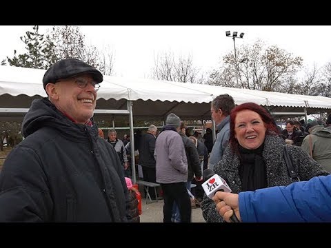 Georgie iz Engleske i Paul iz Holandije svoj novi dom pronašli su u Zrenjaninu