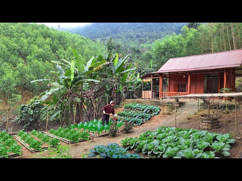 Full video: mountain gardening, building organic vegetable garden, harvesting vegetables.