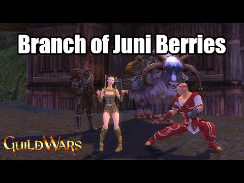 Branches of Juni Berries - Two Methods - Guild Wars Juni Berries Nick Gift Farm 2020