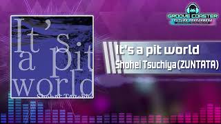 【グルコス】It's a pit world / Shohei Tsuchiya(ZUNTATA)