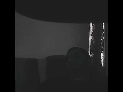 Bahtiyar Agaev Ve Ravil Agaev  DUGUNUM