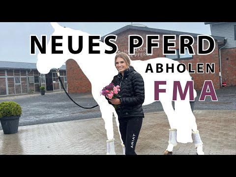 We have a new horse 🐴 Our dream horse is moving into our stable | Pre-purchase exam | Inleobo