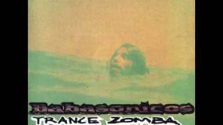 12 Posesión del tercer tipo - Babasónicos