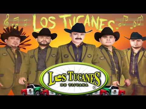Los Tucanes de Tijuana 🔶Lo Mejor de los Corridos Bravos 💥 26 Éxitos Corridos Pesados Mix🎀🎀