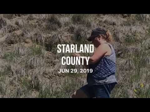 download lagu mp3 mp4 Starland County, download lagu Starland County gratis, unduh video klip Starland County