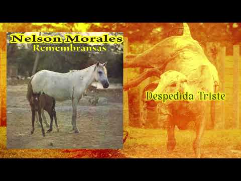 Remembranzas - Nelson Morales | Cover Álbum | Música Llanera