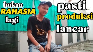 Download lagu Sangat Penting‼️kalsium untuk Murai batu mp3