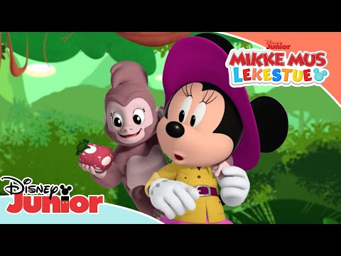 🌴 Tilbake til den fortryllende regnskogen | Mikke Mus Lekestue | Disney Junior Norge
