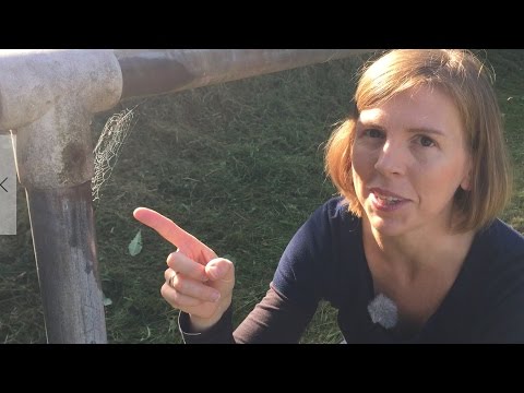 Der Begriff Altweibersommer - wetteronline.de